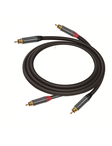 2 RCA 2 RCA 10m