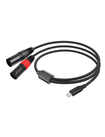 USB C VERS 2 XLR MALE