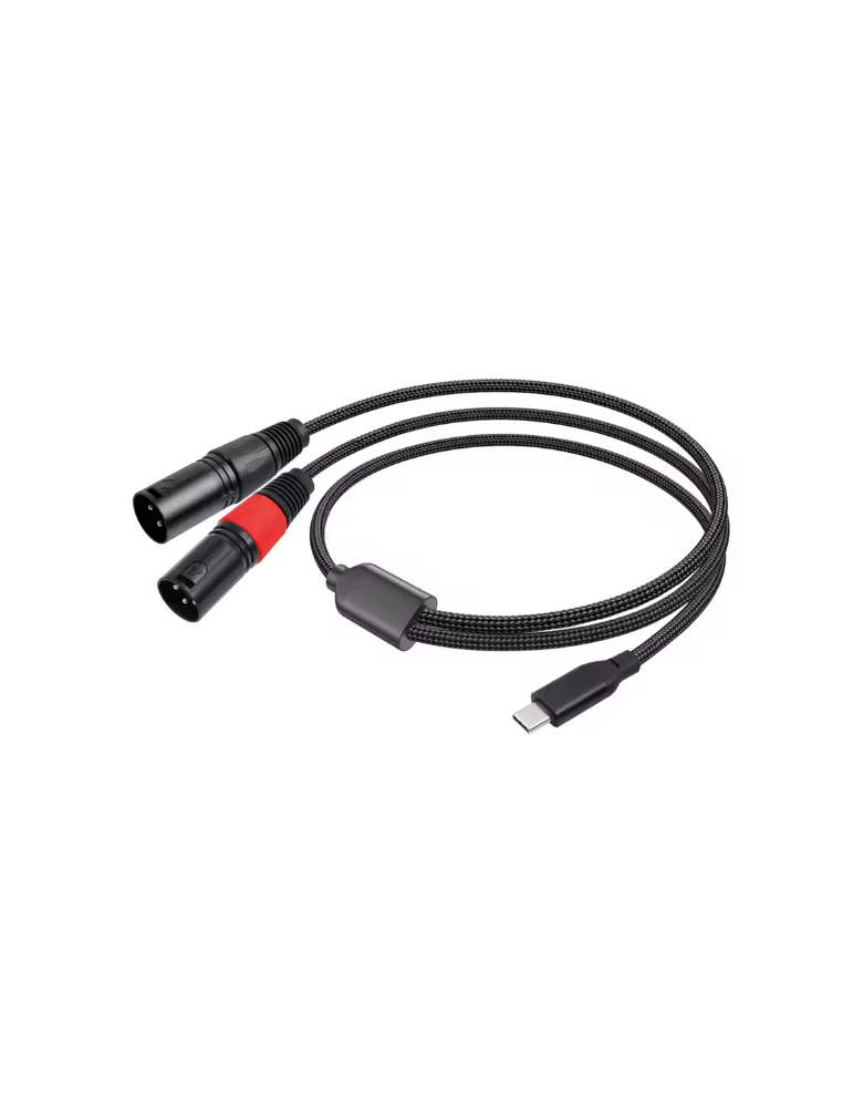 USB C VERS 2 XLR MALE