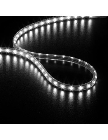 STRIP WHITE LED