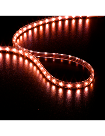 STRIP LED ROUGE