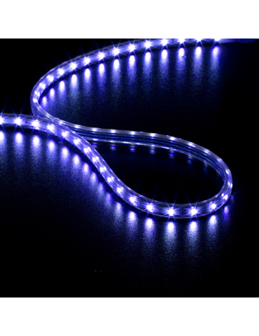 STRIP LED BLEU
