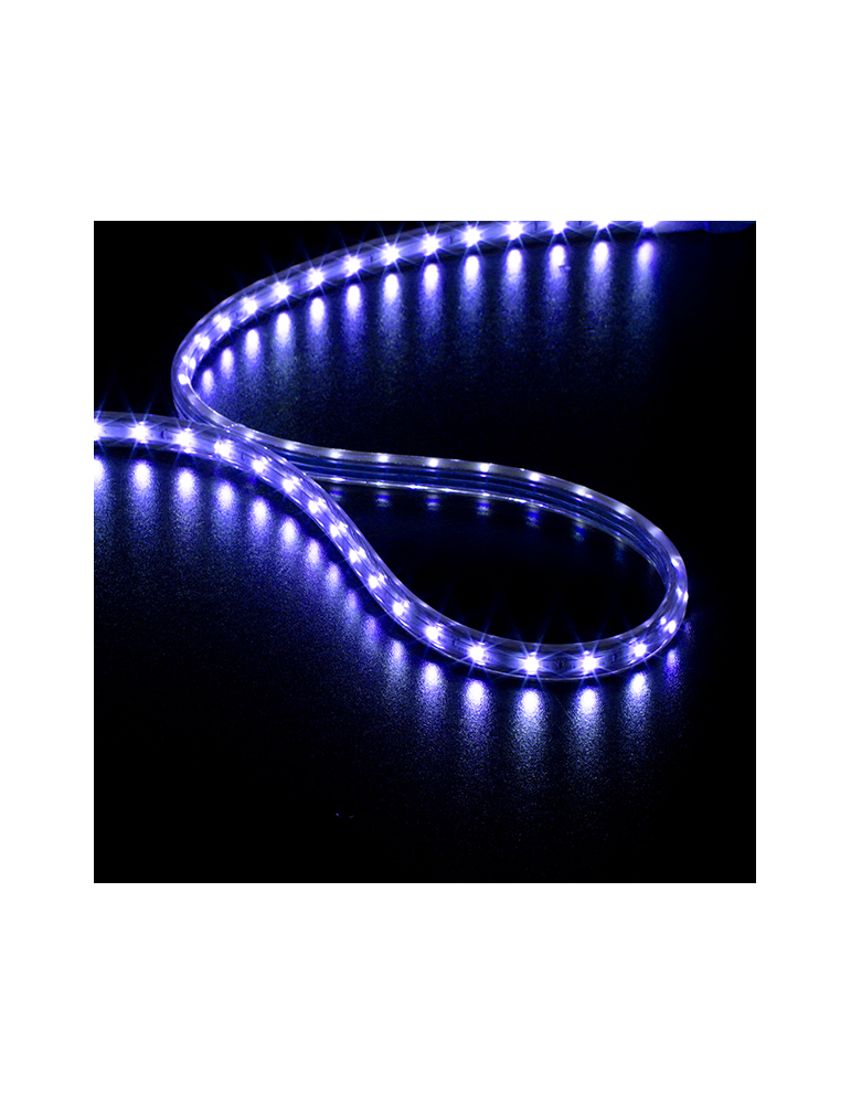 STRIP LED BLEU