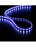 STRIP LED BLEU